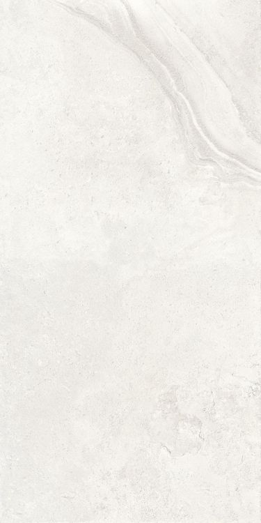 Petra Viva Bone Matte 24 x 48